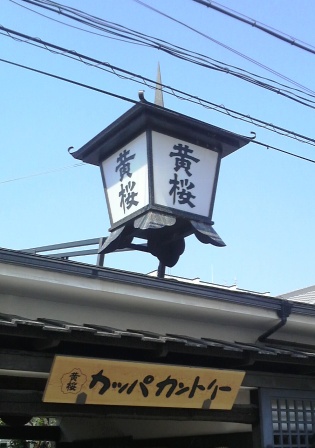 黄桜2.JPG